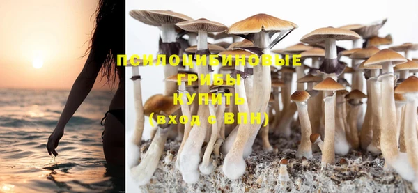 PSILOCYBIN Бронницы